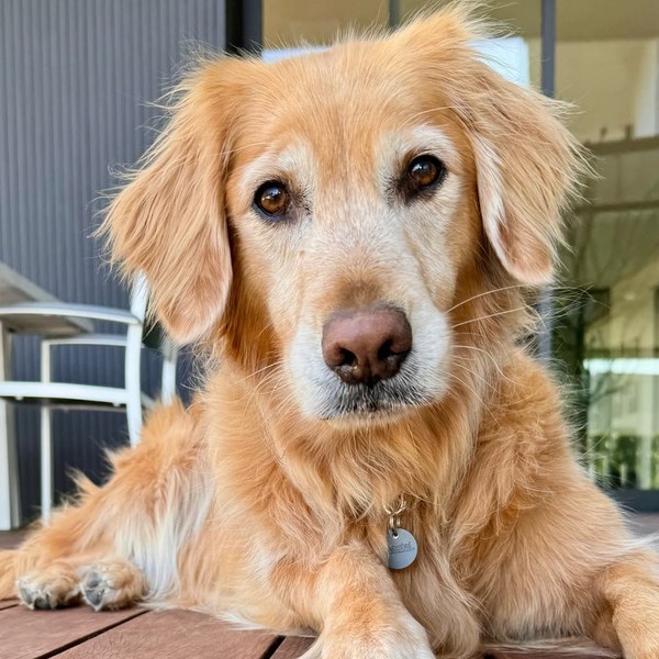 Cali