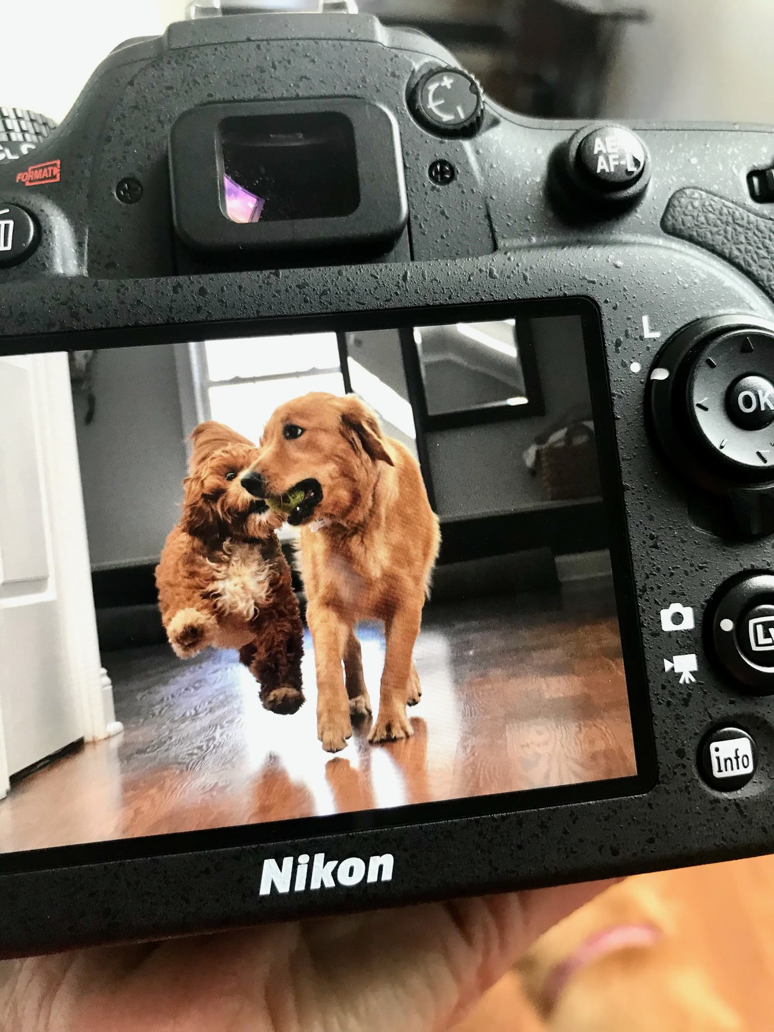 Behind the scenes with the camera