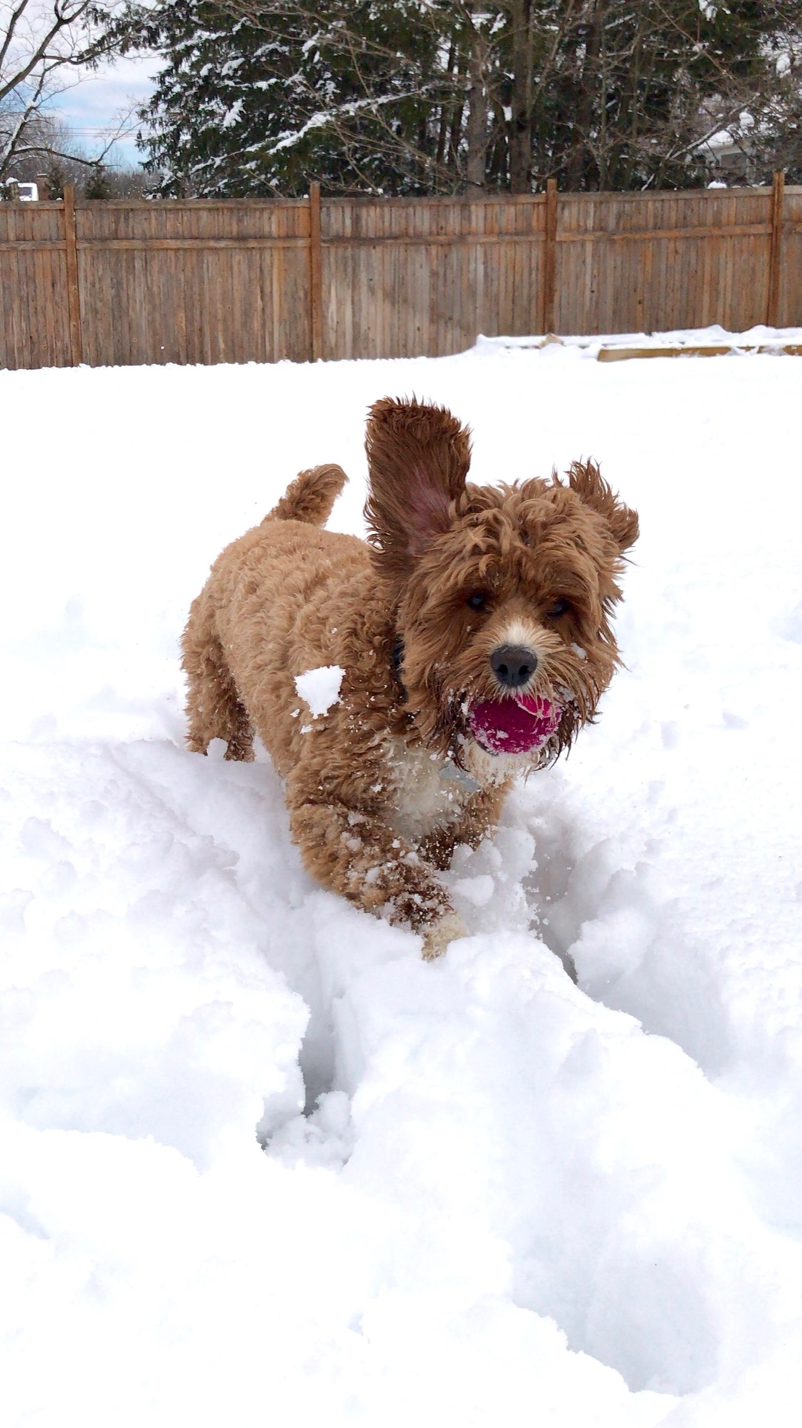 Snow day sprint