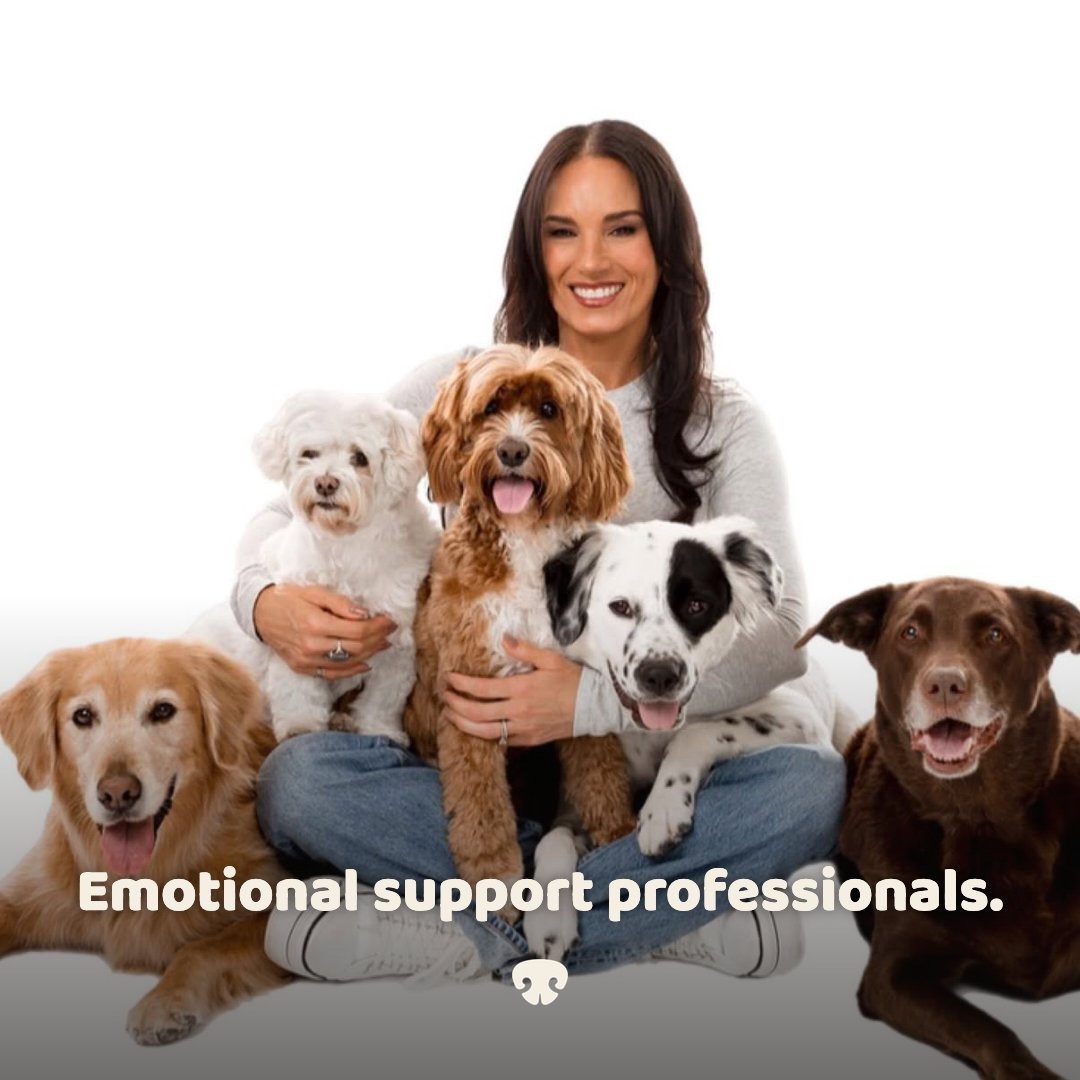 Dog Pack social post